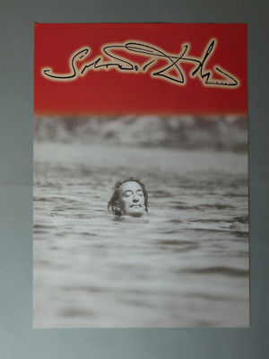 Salvador Dali - schwimmender Dali, 83 cm x 58 cm