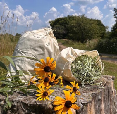Fresh, green, soft, Timothy hay for rabbits, bunnies, guinea pigs, chinchillas