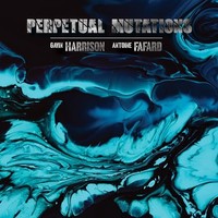 Gavin Harrison Ant - Perpetual Mutations - Vinyl Record - G4Z