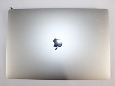 Apple MacBook Pro 16" A2141 2019 LCD Screen Assembly Silver