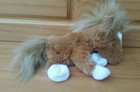 Bild 2 von 5