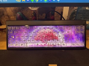 Finalmouse Centerpiece | eBay