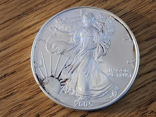2005 AMERICAN EAGLE FINE SILVER UNC 1 TROY OUNCE COIN
