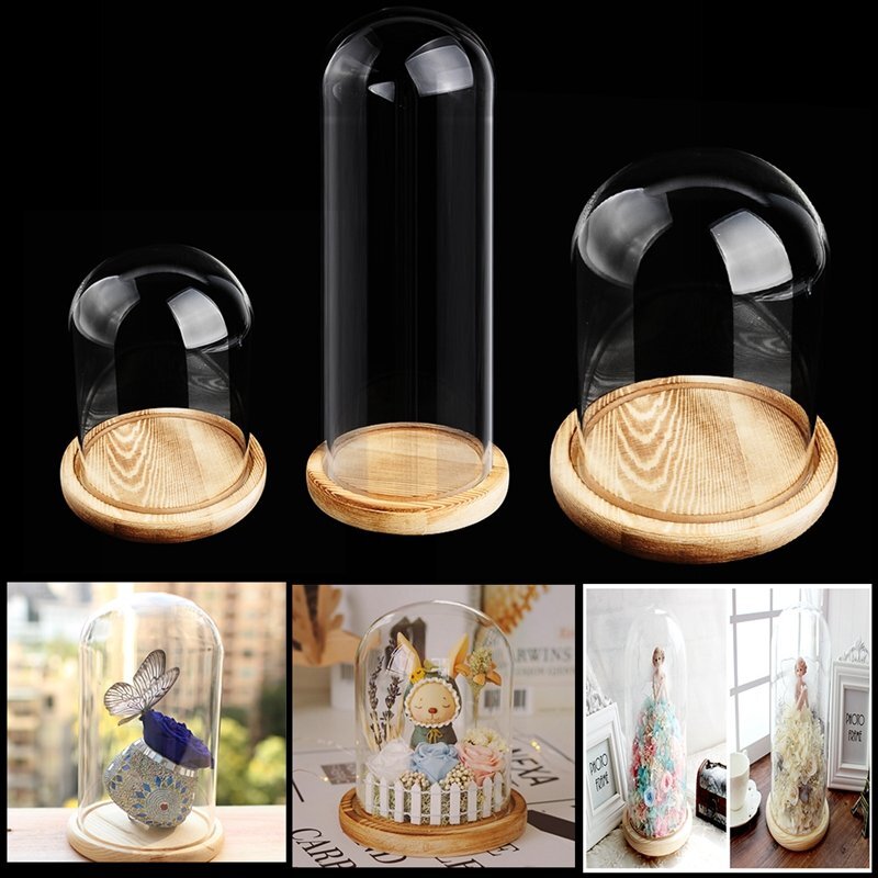 Glasglocke 15/20/25cm Glashaube Holzteller Hochzeits Deko Glaskuppel Glassturz