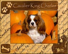 Cavalier King Charles Laser Engraved Wood Picture Frame (5 x 7)