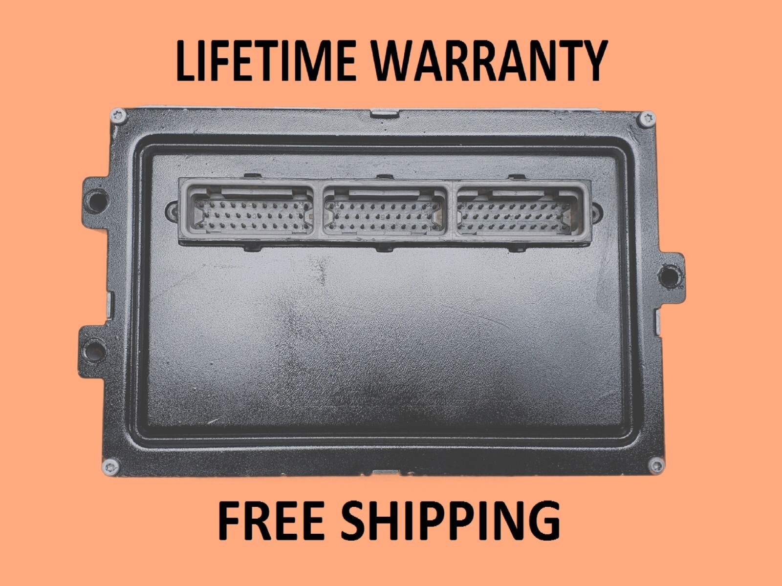 ループウィラー LWヘヴィウェイト吊り天竺ショーツ Mサイズ ブラック