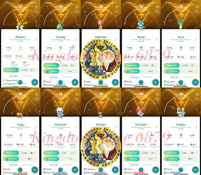 Pokémon  GO  Shiny 10th Anniversary Edition  Team Instinct Background Digital 