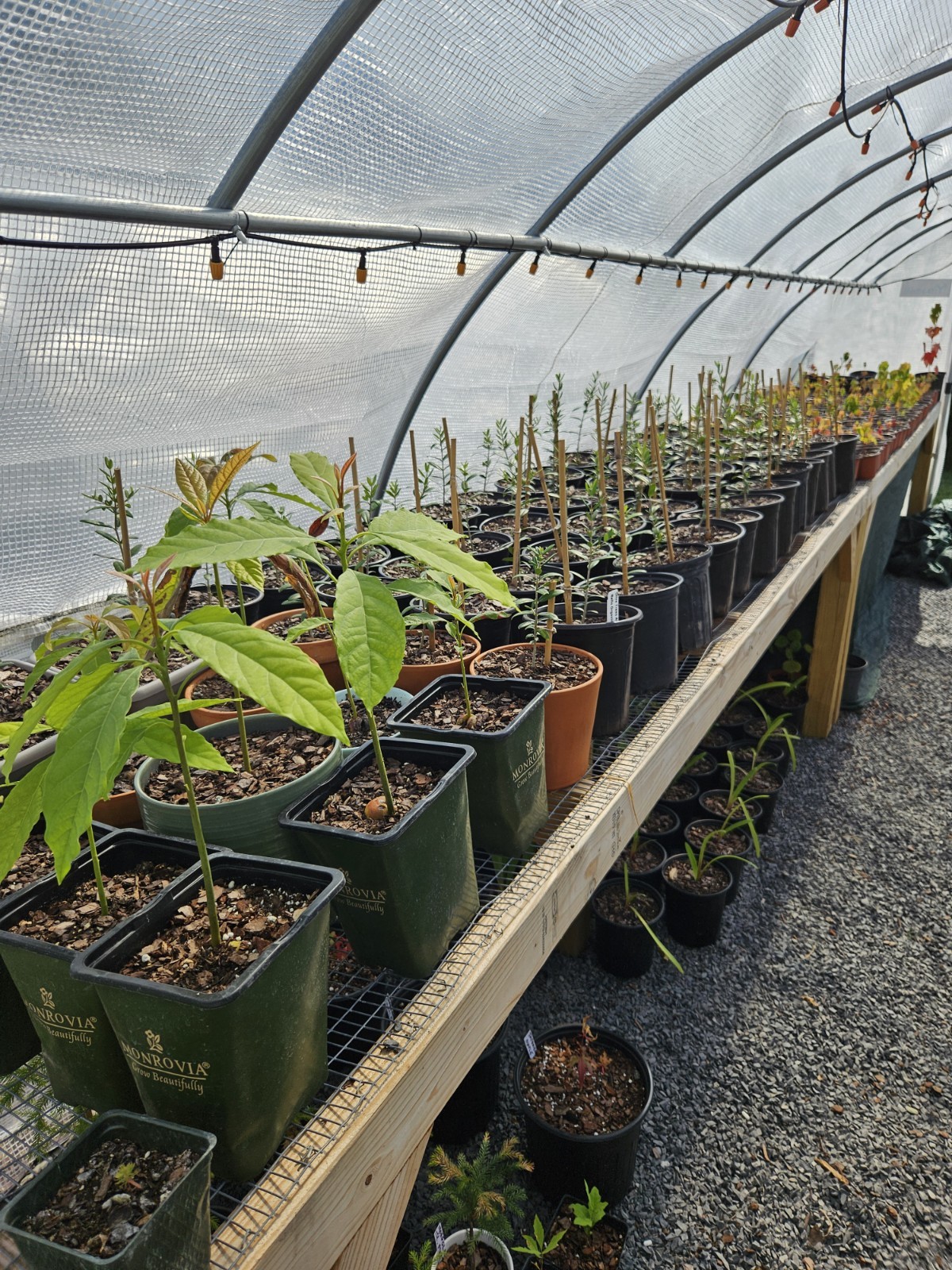 Fast Draining Mix, Indoor Outdoor,  Organic, Soil-less, Peat-Free, 12 Quarts