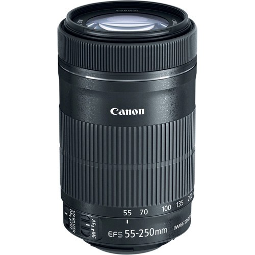 Canon EF-S 55-250mm f/4-5.6 IS STM for sale online | eBay