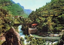 6 SAINT MARTIN VESUBIE