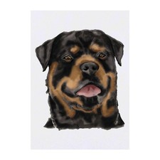 'Rottweiler' Temporary Tattoos / Transfers TO00049320 