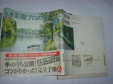 Watercolor Painting Tips for Professionals, Used Book, 2004 Edition