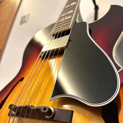Archtop Tribute AT105 / Late '50s Burst | eBay