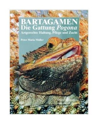 Bartagamen von Peter M. Müller