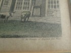 Picture 5 of 9
