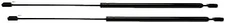 Liftgate Lift Support for Ford Escort, Mercury Lynx 1981-1990,