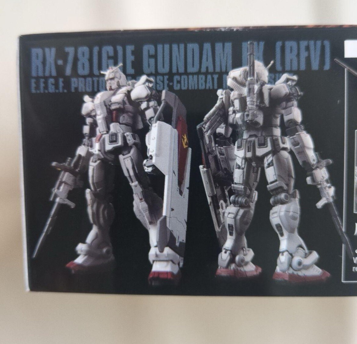 HG 1/144 Gundam EX Netflix Requiem for Vengeance RFV model