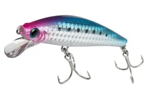 Jackson PINTAIL SAGOSHI TUNE