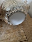 Bild 12 von 12
