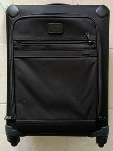 loewe solo ella perfume