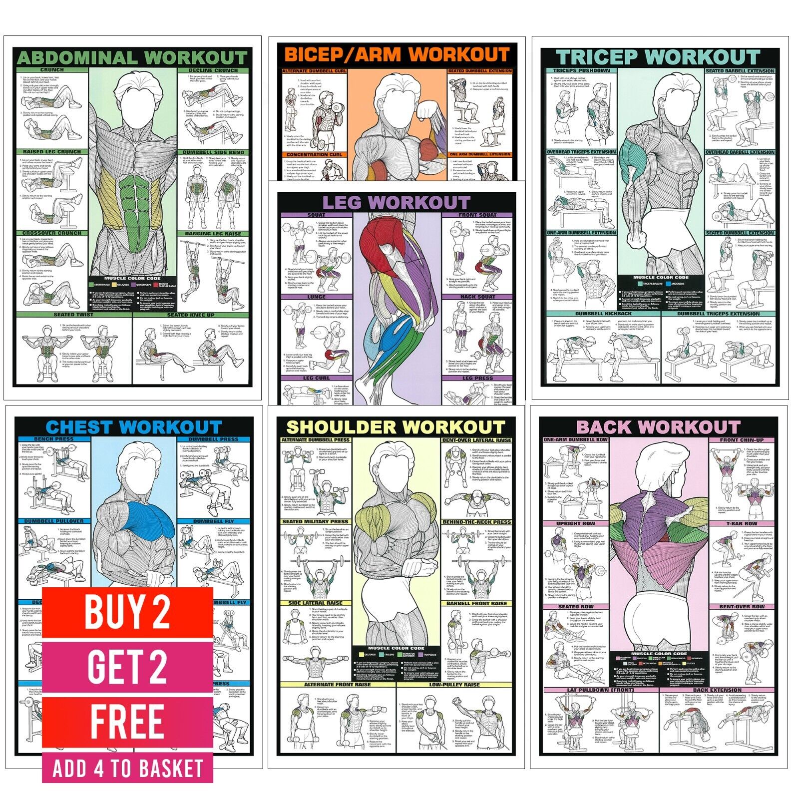 Gym Workout Poster All Body Chart Bicep, Tricep, Abs, Etc Exercises Posters 