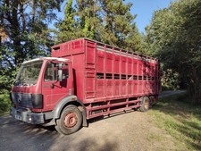 Cattle lorry 25ft with Sheep
