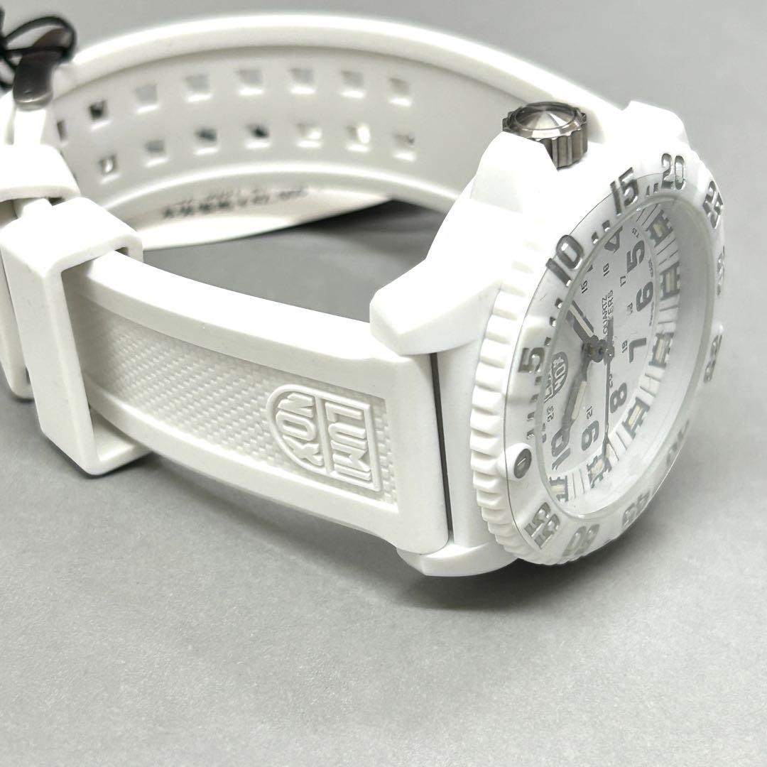 時計 LUMINOX 3057 Whiteout Luminox Navy Seal Colormark Series Whiteout Watch 3057-WO