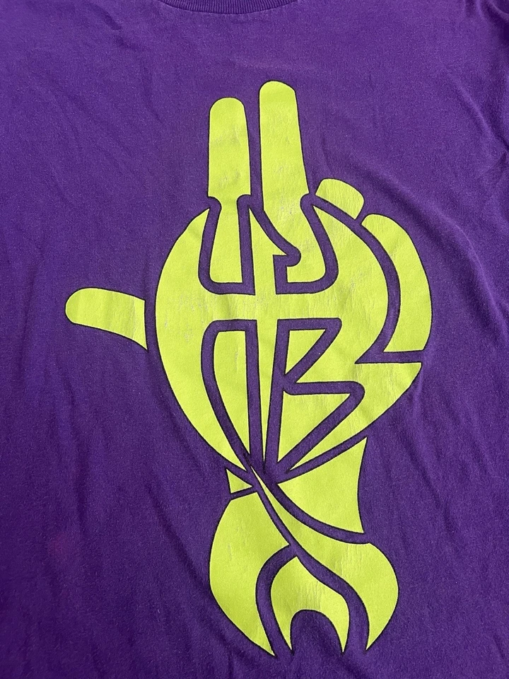 Camisa De Colección WWF WWE Para Hombres Mediana Twist Of Fate Hardy Boyz Jeff Hardy Y2K 2001 Foto 2 de 4