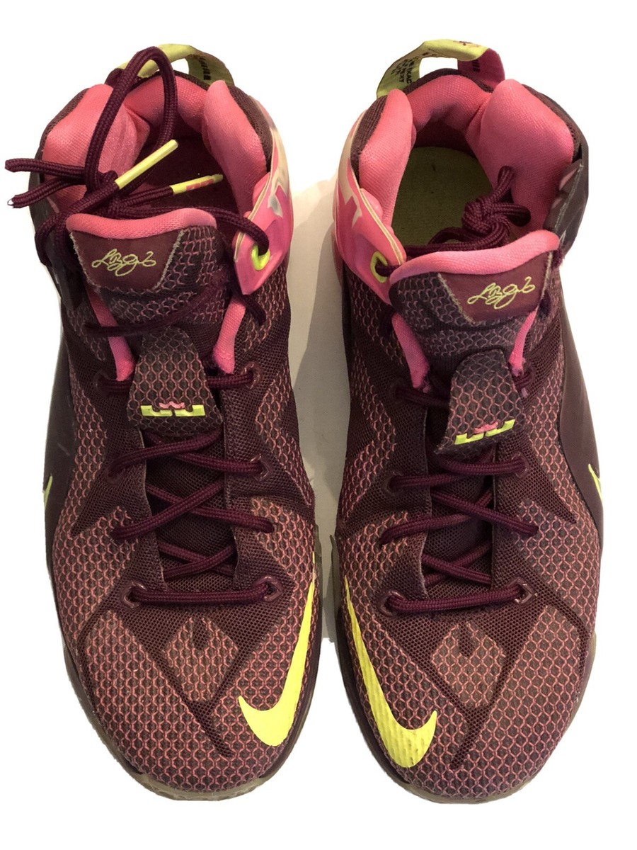 NIKE LeBron James XII Double Helix Merlot Size 6Y /EU 38.5 