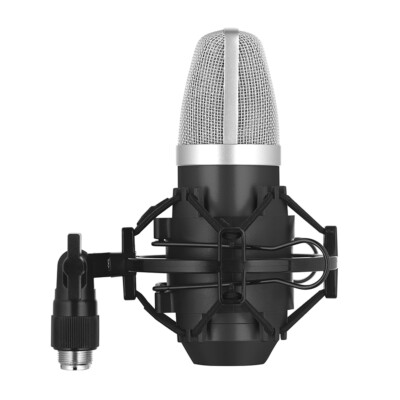 Stagg SUM40 Studio Recording Cardioid Condenser USB Microphone w/ Shockmount
