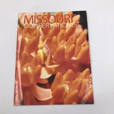Vintage Missouri Conservationist Magazine July 2001 Vol 62 Issue 7 Hunting MDOC