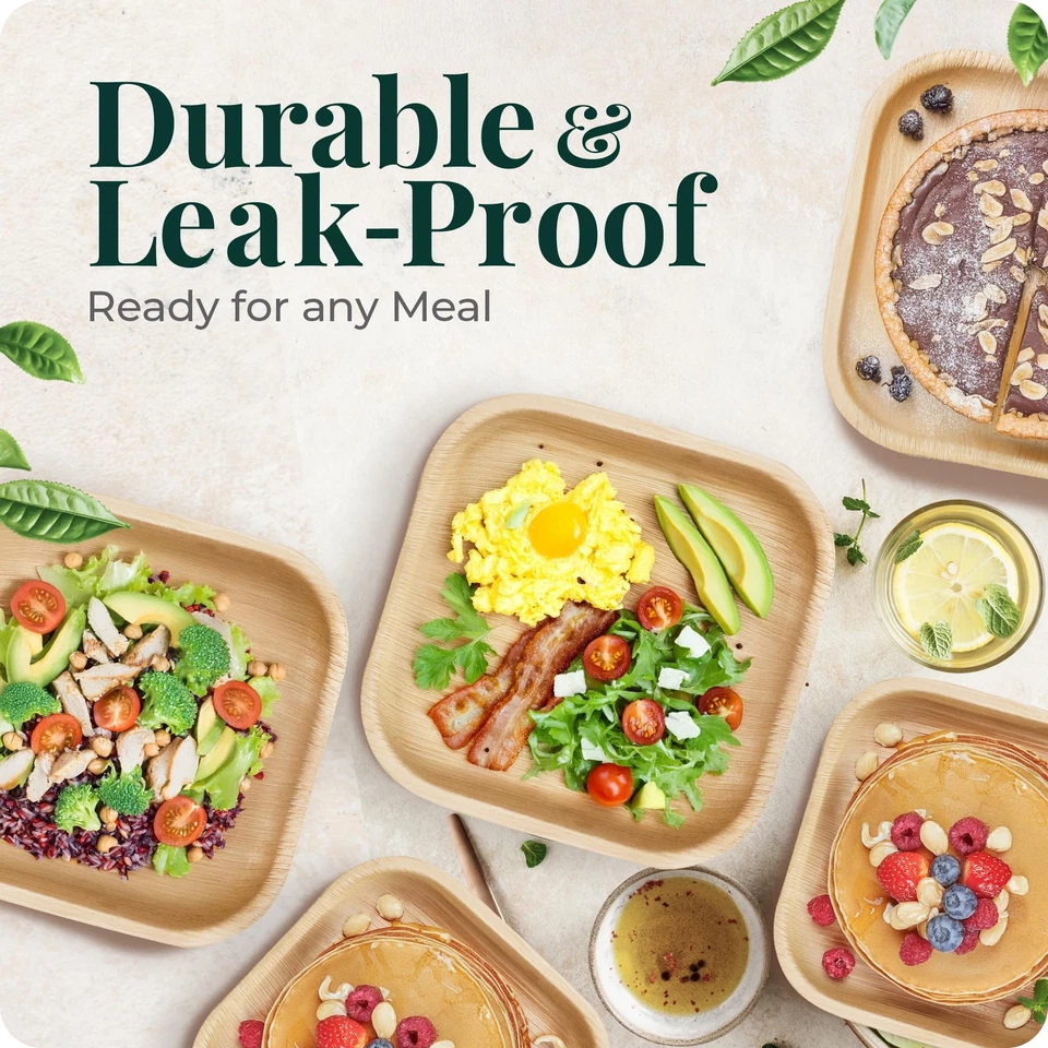 Plato Hoja de Palma Papel Bambú Desechable 6 Pulgadas 200 A Granel Aperitivo y Postre... Foto 2 de 4