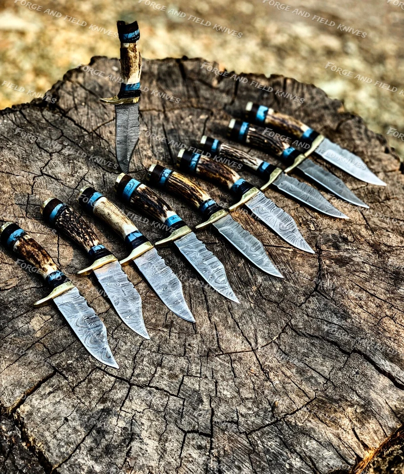 Набор из 20 ножей для кемпинга ручной работы из дамасской стали 6 дюймов рог оленя - из США  - Изображение 4 из 4