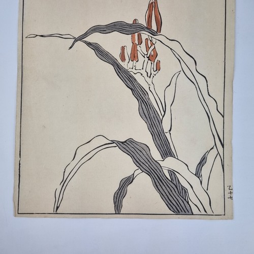 Bairei Kono Vintage Japanese Woodblock Print Bird On A Flowering Branch - Picture 8 of 19
