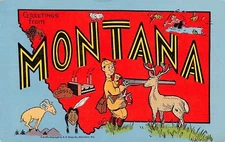 1950 Montana Greetings From State Large Letter 16628-C.M.20 Linen PC
