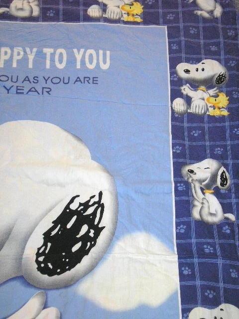 Peanuts SNOOPY Woodstock + Disney POOH Reversible Twin Duvet Cover EUC - Image 3 of 4