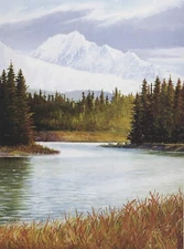 Monte Dolack View to Glacier