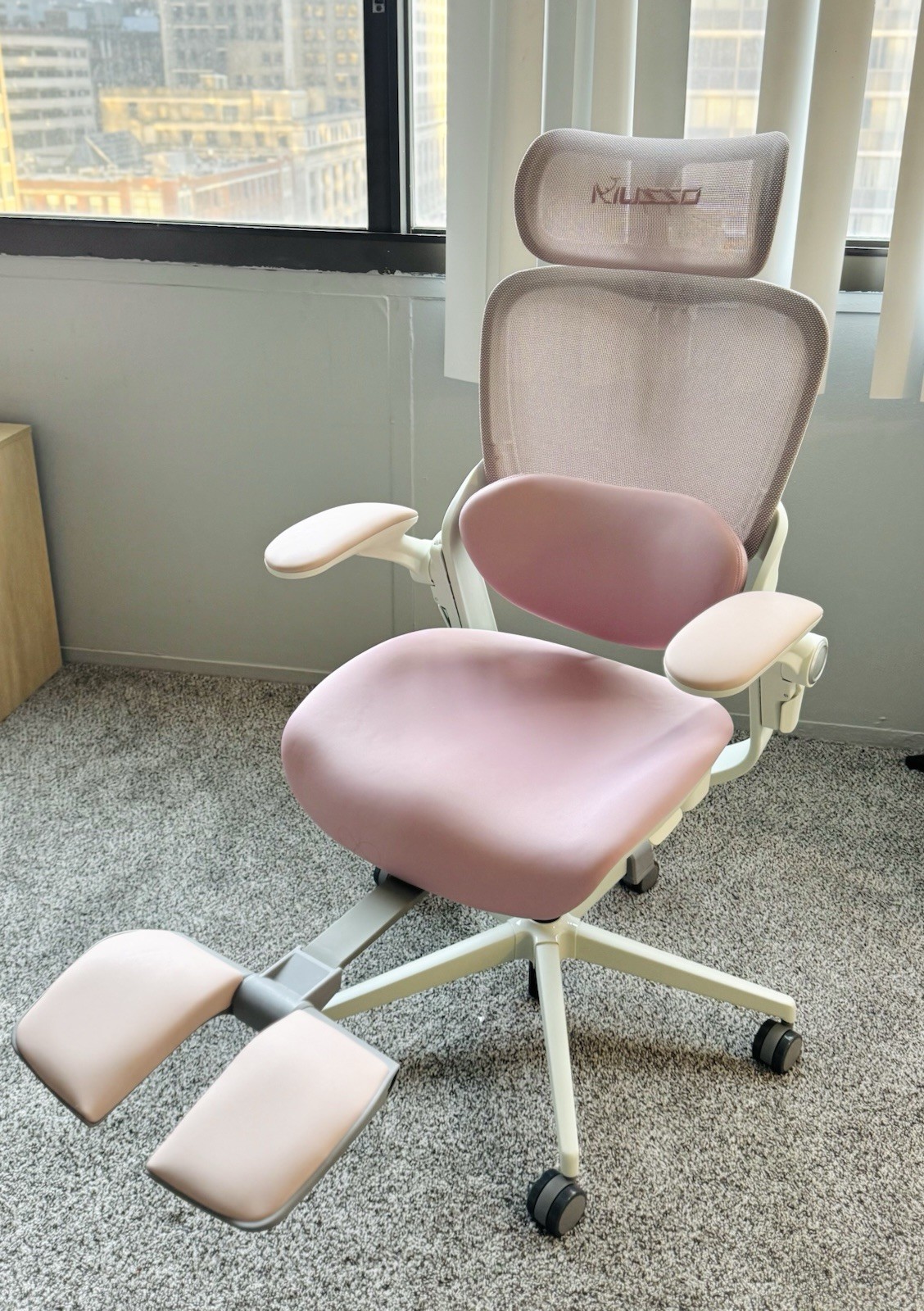 Adjustable Headrest Armrest Footrest E80