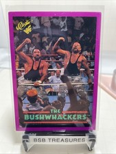 1990 WWF Classic Purple Promo - Bushwhackers - CENTERED - hasbro rc