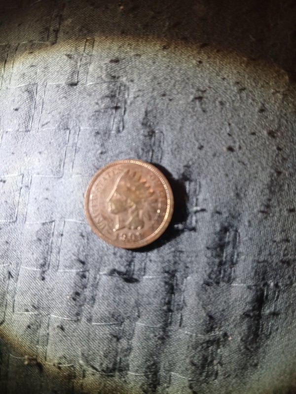 1901 Indian Head Penny Copper Small Head Cent Circulated Ungraded Antique