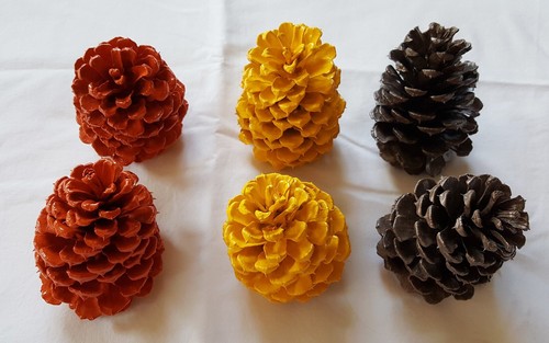 Lot of 6 Medium 3.5-4 inch Fall Color Pinecones for decoration crafts etc - Picture 2 of 5