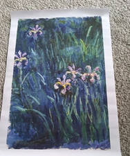 Claude Monet Irises Canvas Wall Art