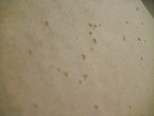 Bild 11 von 11