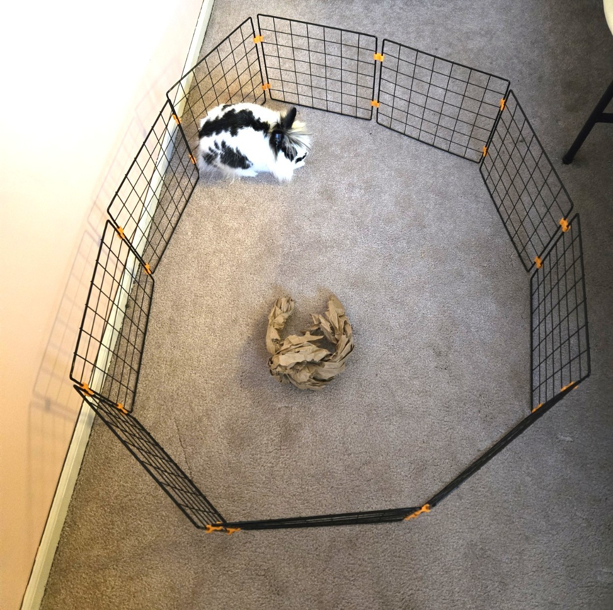 HopStop™ Wire Cube Connectors – Create Custom Play Areas for Small Pets