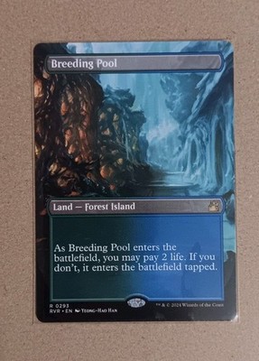 Breeding Pool (Borderless) #293 MTG: Ravnica Remastered, English Regular NM