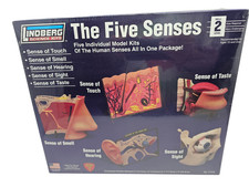 Lindberg 71315 The Five Senses Touch Smell Hear Sight Taste NEW