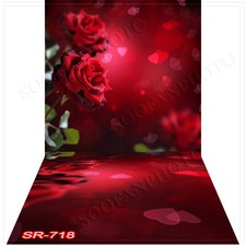 Valentine10'x20'Computer/Digital Vinyl Scenic Photo Backdrop Background SR718B88