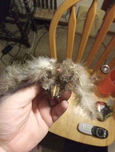 Tarantula Figurine