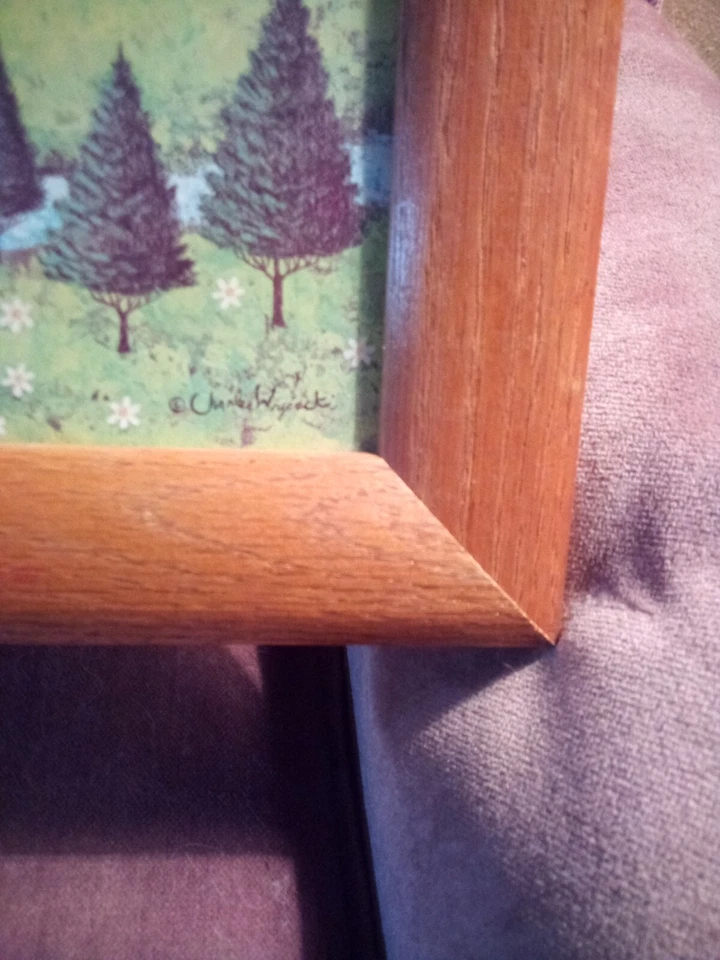 Litografia emoldurada Charles Wysocki "Primavera" assinada, perfeita - Imagem 2 de 4