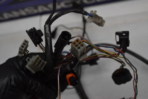 FB7 Main Wiring Harness Loom Full 08 Aprilia Tuono 1000 R 06 07 Free Us Ship - Picture 24 of 24